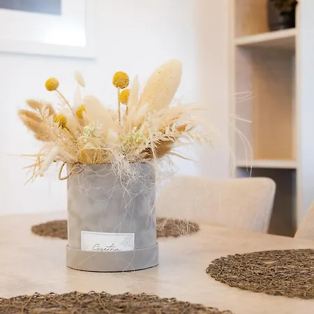 Opat Apartment
